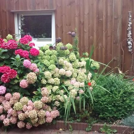 1 Raum Appartement Mit Kuechenzeile In Kappeln Luaran gambar
